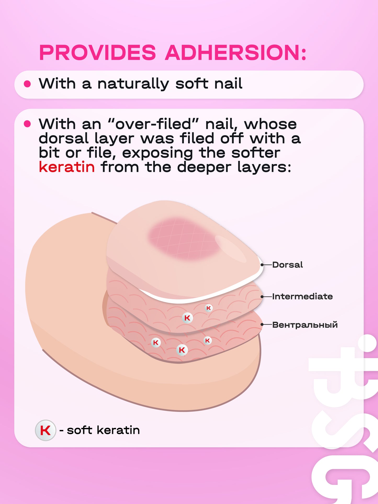 Base en caoutchouc élastique ACRY BSG pour ongles souples (20 ml)